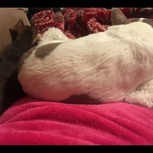 Meet your Posher, Roger